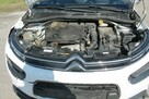 Citroen C4 Cactus - 9