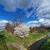 Działka budowlana Wrocław Krzyki, Jagodno, Buforowa - 2