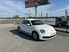 Volkswagen Beetle - 1