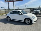 Volkswagen Beetle - 3