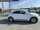 Volkswagen Beetle - 4
