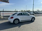 Volkswagen Beetle - 5