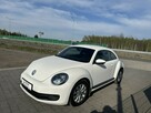Volkswagen Beetle - 10