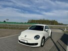Volkswagen Beetle - 11