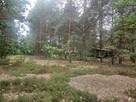 Dobre Dzielnica	Stare Poręby 	60 - 16