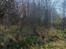 Działka nad morzem Rusinowo - 10