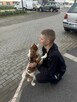 Opieka i pielęgnacja zwierząt - 4