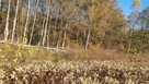 Działka budowlana Duchnów gm. Wiązowna - 10