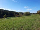 Dom Rzepiennik Strzyżewski Turza, Turza - 6
