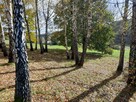 Dom Rzepiennik Strzyżewski Turza, Turza - 8