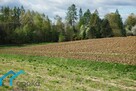 Działka Pogwizdów gm. Hażlach - 4