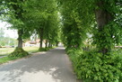 Działka rolna Krutyń gm. Piecki - 7