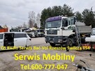 Antena CB do Mercedes Actros Trucks TIR - 12