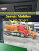 Antena CB do Mercedes Actros Trucks TIR - 11