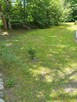 Koszenie trawy, trawnikow tel.692805945 - 2