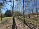 Działka bud.; 2900 M2; Łukawska Wola; WZ; ZADRZEWIONA - 2