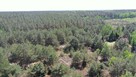 Działka rekreacyjna Mącice gm. Chorzele, Chmielowa - 5