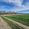 Duża działka na sprzedaż na przedmieściach Łosic - 6