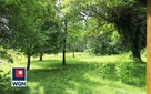 Działka siedliskowa Michalów gm. Sułów Michalów, Zielona - 14
