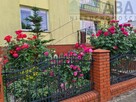 Na sprzedaż bardzo zadbany dom z pięknym ogródkiem - 12