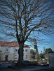 Warszów - Mieszkanie 2 pokojowe, 52 m2 - 11