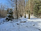 rolna pod Tiny House, las, strumyk droga, 1 h od KR, Beskidy - 5