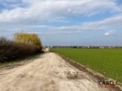 Działka budowlana Rokietnica, Spokojna - 1
