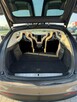Tesla x darmowe ładowanie - 10