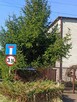 Sprzedam dom lub zamienię na mieszkanie - 4