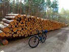 Poznam dziewczne ktora jest samotna. - 2
