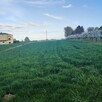 Piękna, zadbana, działka budowlana w okazyjnej cenie 43ar. - 2