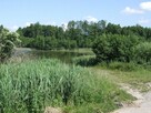 Sprzedam działkę nad jeziorem budowlaną Dąbrówka - 7