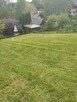 Działka ROD Zabierzów ( kilka kilometrów od Krakowa) - 2
