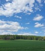 Działka inwestycyjna Biały Kościół gm. Strzelin, Kamienna - 4