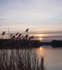Działka inwestycyjna Biały Kościół gm. Strzelin, Kamienna - 7