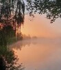 Działka inwestycyjna Biały Kościół gm. Strzelin, Kamienna - 8