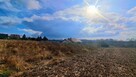 Działka inwestycyjna Biały Kościół gm. Strzelin, Kamienna - 15