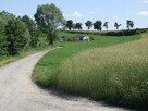 Sprzedam działkę nad jeziorem budowlaną Dąbrówka - 6