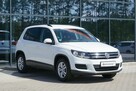 Volkswagen Tiguan 8xAlu! Grzane fotele, Czujniki, Hak, Serwis ASO, Bezwypadek, GWARANCJA - 5