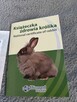 Sprzedam królika - 10