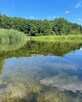 Domki i Spływy kajakowe Krutyń - 12