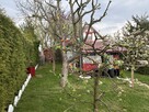 Działka, 300 m², Ełk - 6