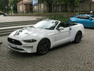 Auta do ślubu. SAMODZIELNA JAZDA Mustangi, Corvette, Mercede - 13