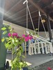 MAXIM Apartament Greece – Apartamenty w Grecji do wynajęcia - 6