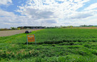 Działki Pniówek, 2,5 km od Zamościa - 5