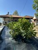 MAXIM Apartament Greece – Apartamenty w Grecji do wynajęcia - 2