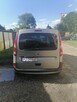 Renault Kangoo - 4