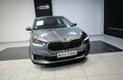Škoda Fabia Salon Polska*Bezwypadkowy*MPI*Instalacja LPG*Faktura VAT23% - 5