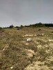 Kołbaskowo1.5994ha,do szybkiej budowy halii 2000m2 - 11