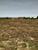 Kołbaskowo1.5994ha,do szybkiej budowy halii 2000m2 - 14